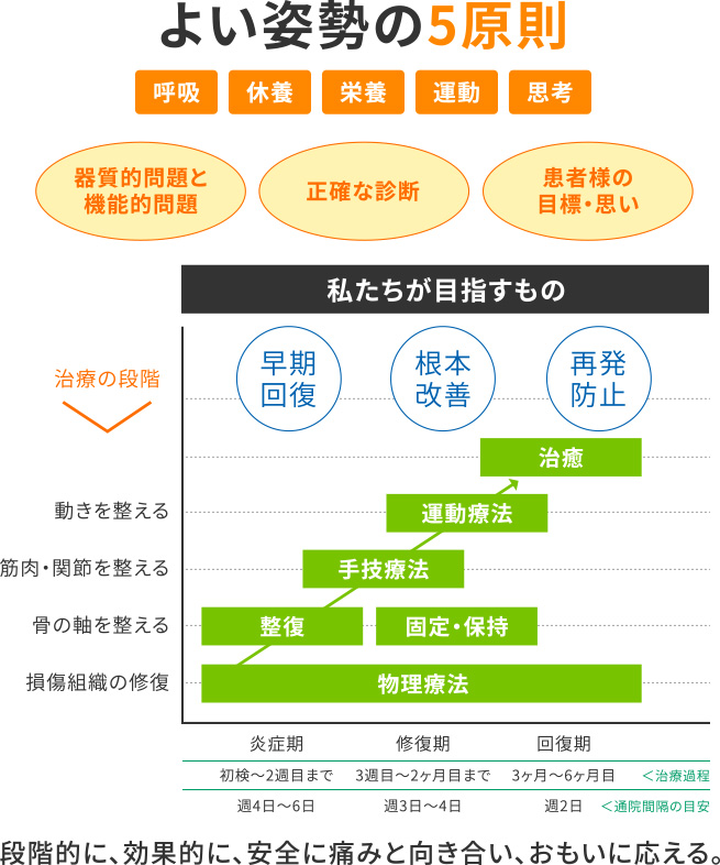 よい姿勢の5原則